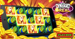 555bet